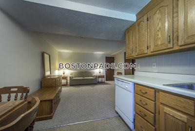 Cambridge Studio 1 Bath  Davis Square - $2,050 No Fee