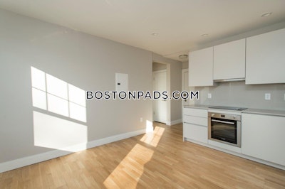 Brighton 1 Bed, 1 Bath Unit Boston - $2,650