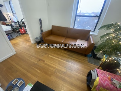 Mission Hill 3 Beds 1 Bath Boston - $4,100