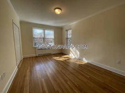 Brighton 1 Bed 1 Bath Boston - $2,825 No Fee