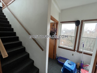 Fort Hill Apartment for rent 3 Bedrooms 1 Bath Boston - $3,450