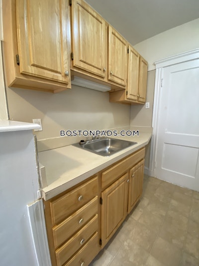 Brighton Apartment for rent 1 Bedroom 1 Bath Boston - $2,600