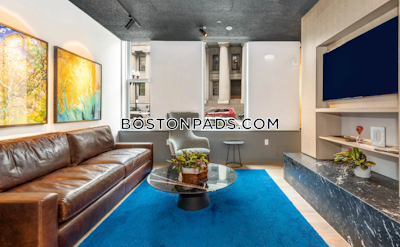 Downtown 1 bedroom 1 baths Luxury in BOSTON Boston - $3,456