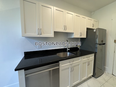 Brighton 1 Bed 1 Bath Boston - $2,560 No Fee