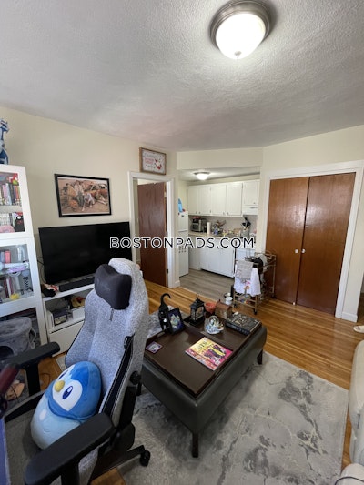 Brighton Apartment for rent 1 Bedroom 1 Bath Boston - $2,000