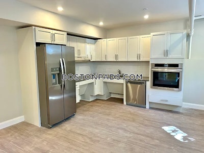 Brighton Apartment for rent 1 Bedroom 1 Bath Boston - $2,450 50% Fee