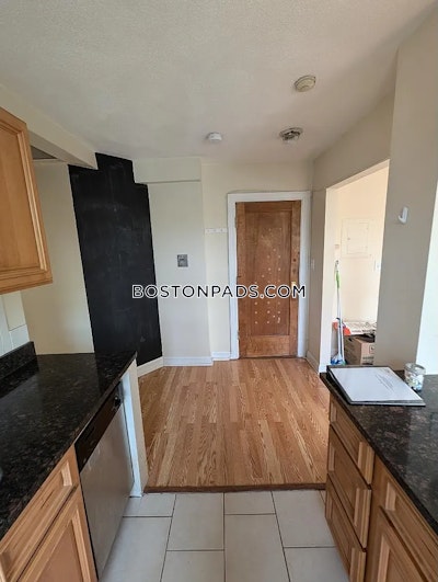 Allston/brighton Border Apartment for rent 1 Bedroom 1 Bath Boston - $2,500