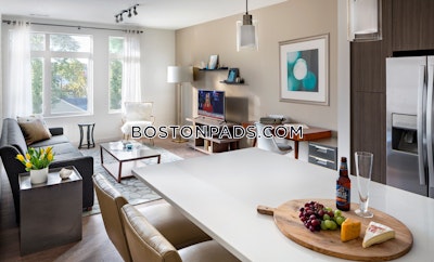 Waltham 2 bedroom 2 baths Luxury in WALTHAM - $3,793